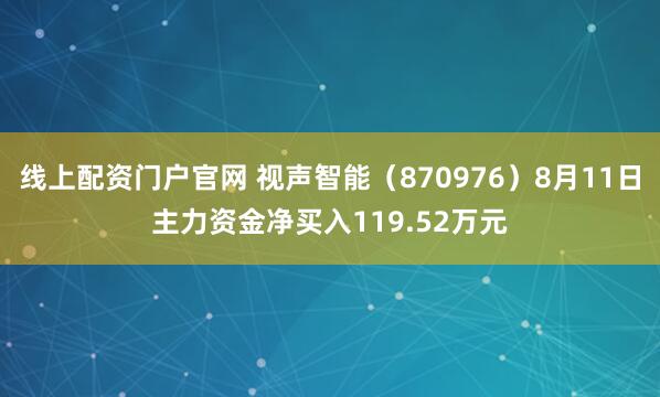 线上配资门户官网 视声智能（870976）8月11日主力资金净买入119.52万元
